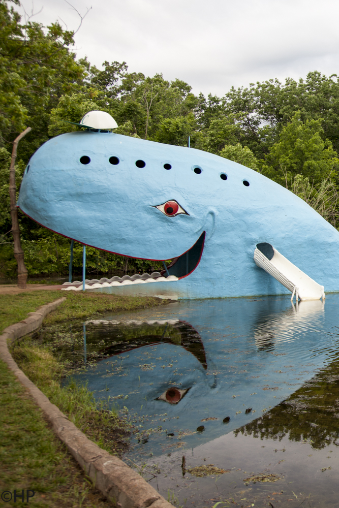 Blue Whale