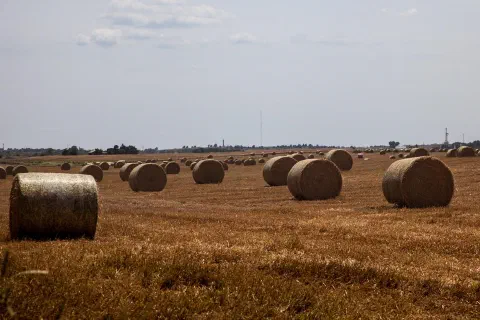Foto 7 von 12
