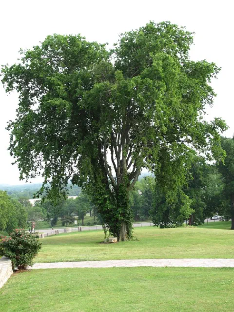Foto 7 von 16