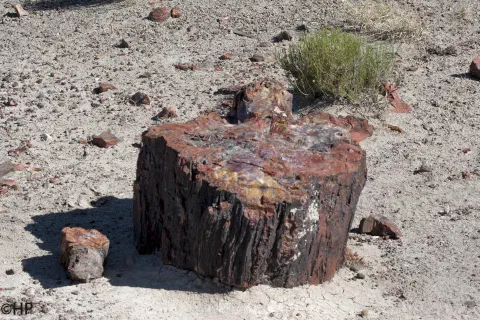 Foto 5 von 15