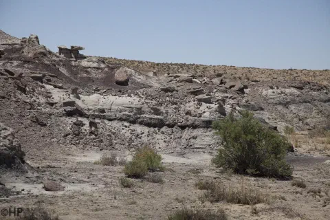 Foto 2 von 47