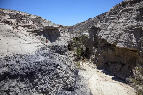 Foto 7 von 47