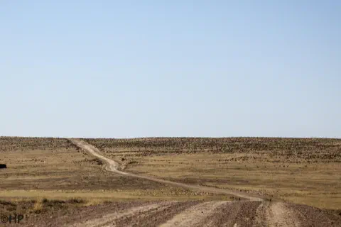 Foto 4 von 6