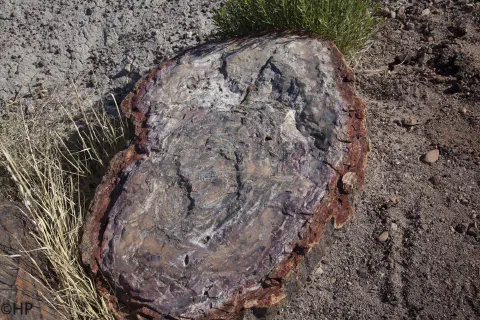 Foto 10 von 15