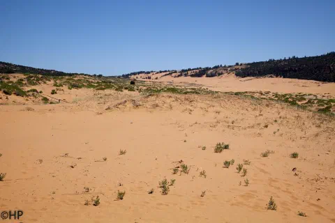 Foto 5 von 11