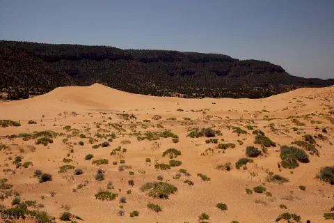 Foto 4 von 11