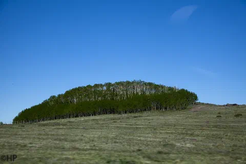Foto 10 von 16