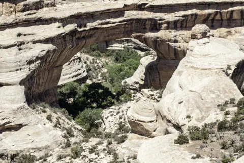 Foto 5 von 11
