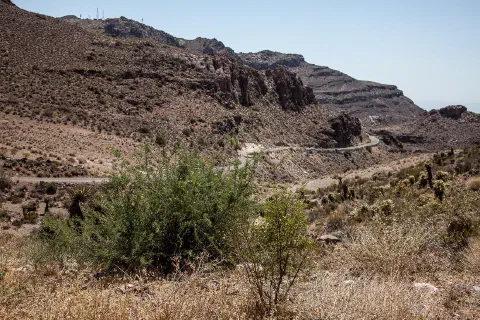 Foto 1 von 16