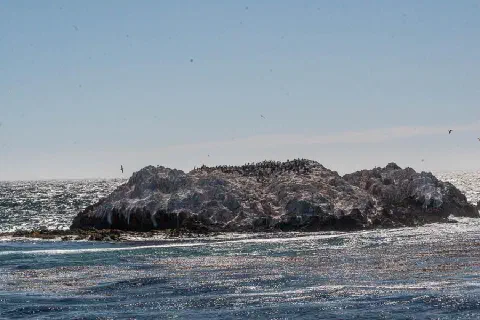 Foto 2 von 9