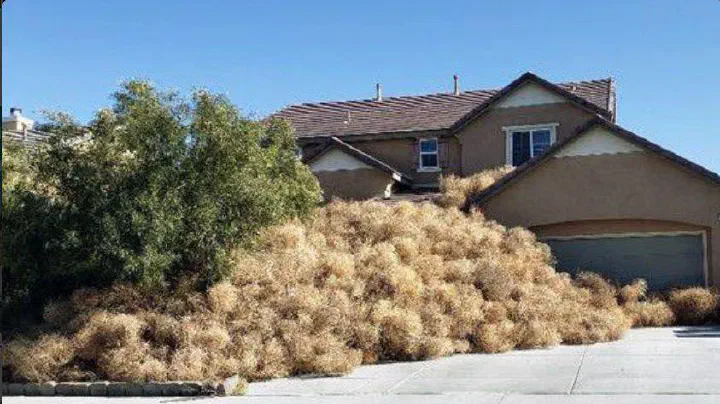 Victorville News 17