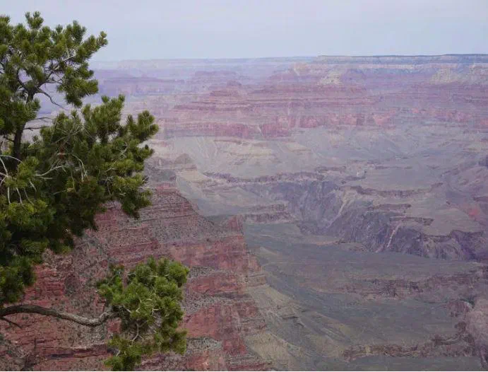 Grand Canyon News 02