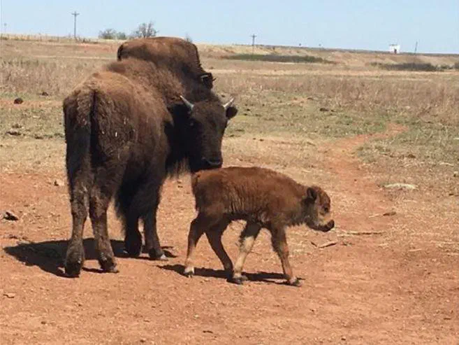 Oklahoma News 14